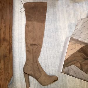Thigh High Suede Boots